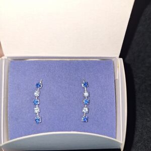 Elegant Blue and Silver Earrings